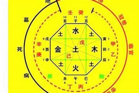 五行盤|生辰八字算命、五行喜用神查詢（免費測算）